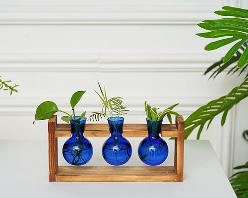 Miniatura 17 de Kingbuy Terrario para plantas con soporte de madera, maceta de vidrio, propagación de escritorio, florero de 3 bombillas, soporte de metal, estante