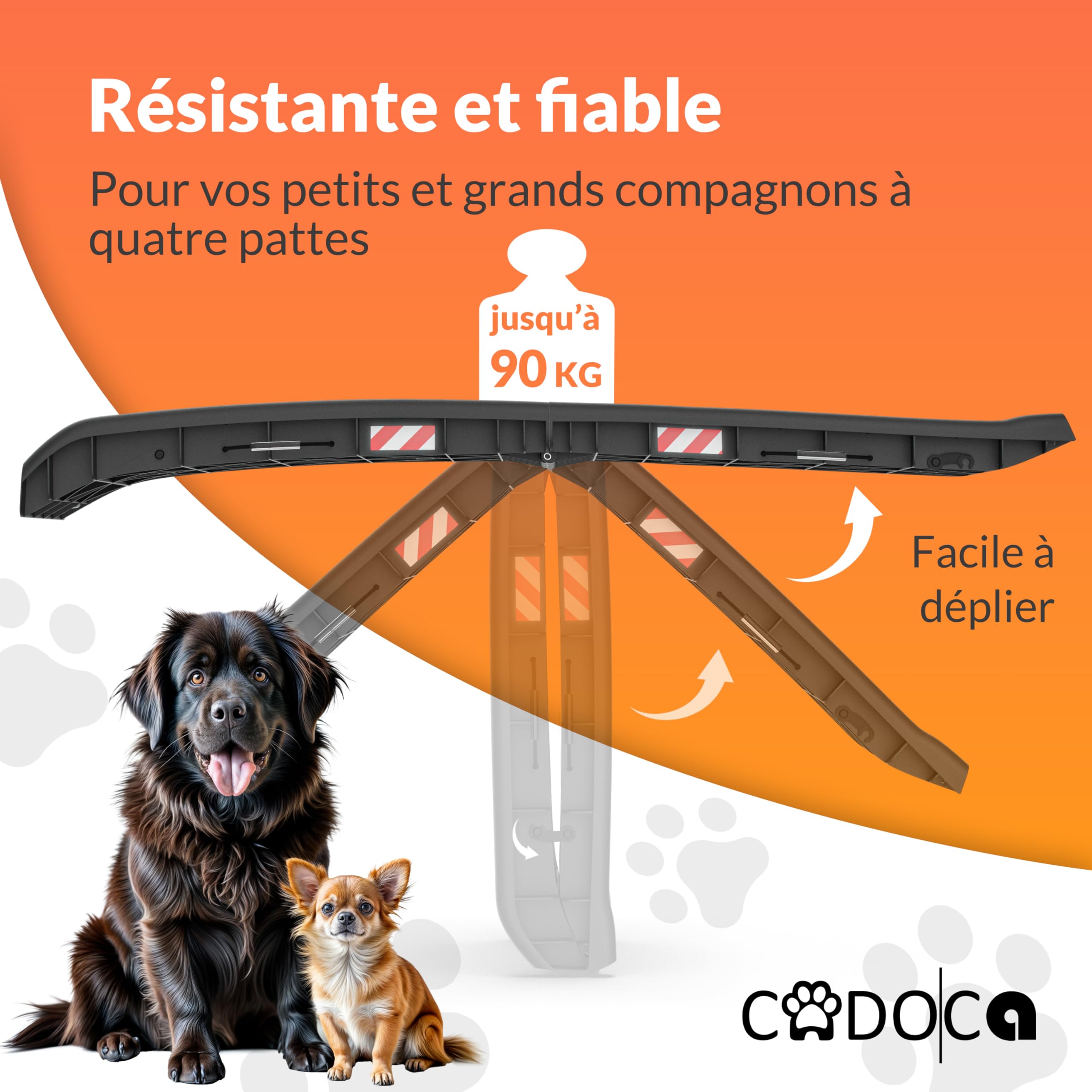 Rampe Pliable pour Chiens avec Réflecteurs Capacité de Charge 90kg Robuste CADOCA