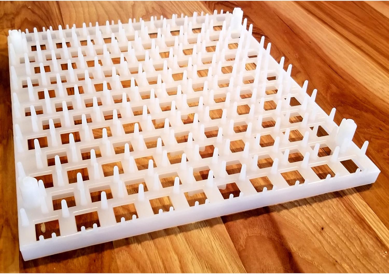 Quail Egg Trays (6 pack)