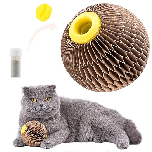 Catnip Ball Toy for Cats Catnip Refillable Scratcher Ball Kitty's