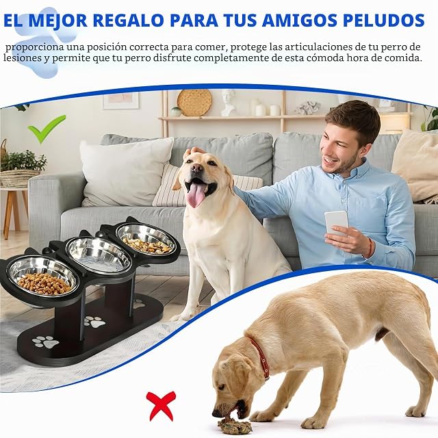 Foto 5 de 7 de GOMETY Comedero para gatos 3 en 1 elevado, juego de 3 comederos para gatos con 3 cuencos de acero inoxidable
