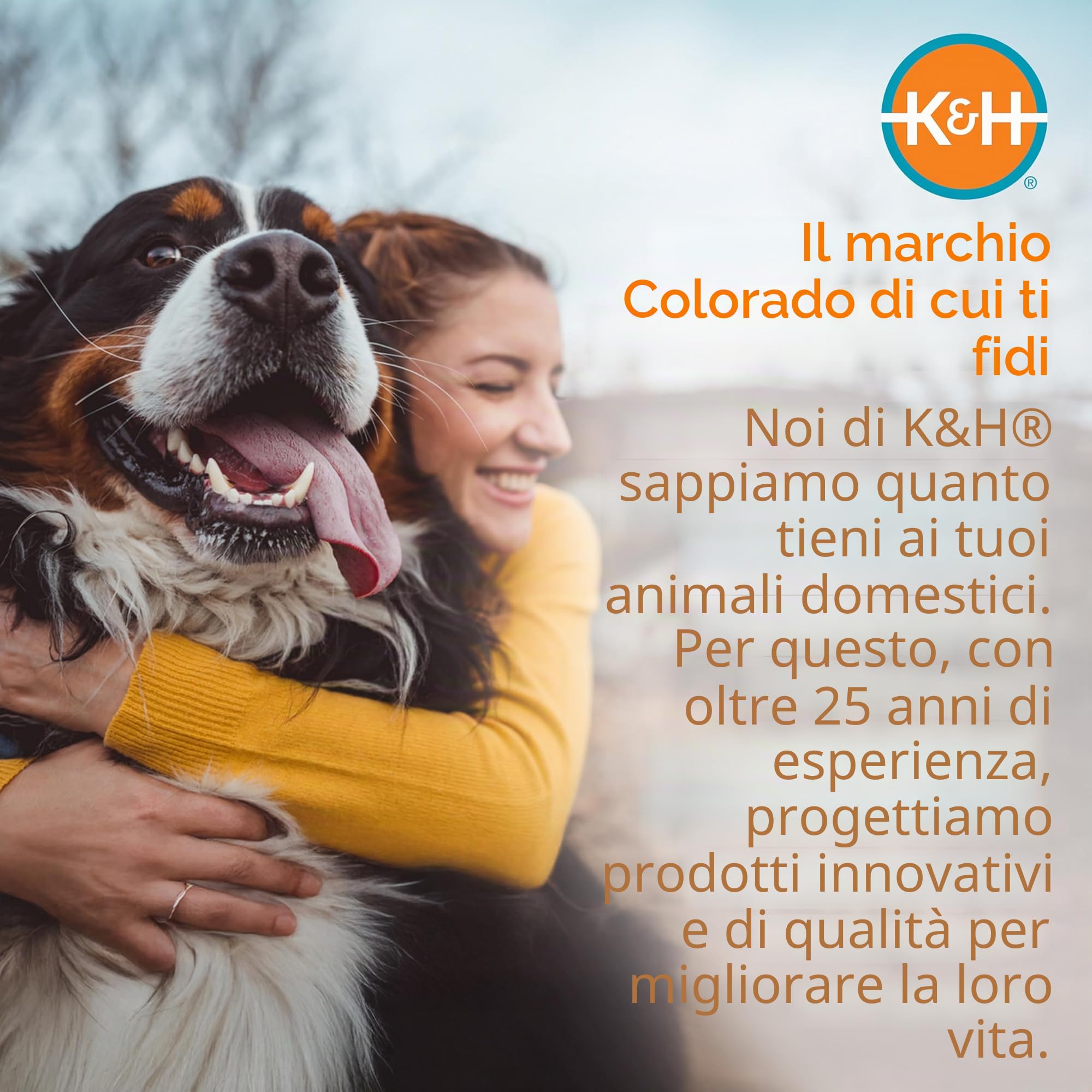 K&H Pet Products - Trasportino universale per bicicletta per cani, gatti e gatti, grande, 30,5 x 40,6 x 25,4 cm