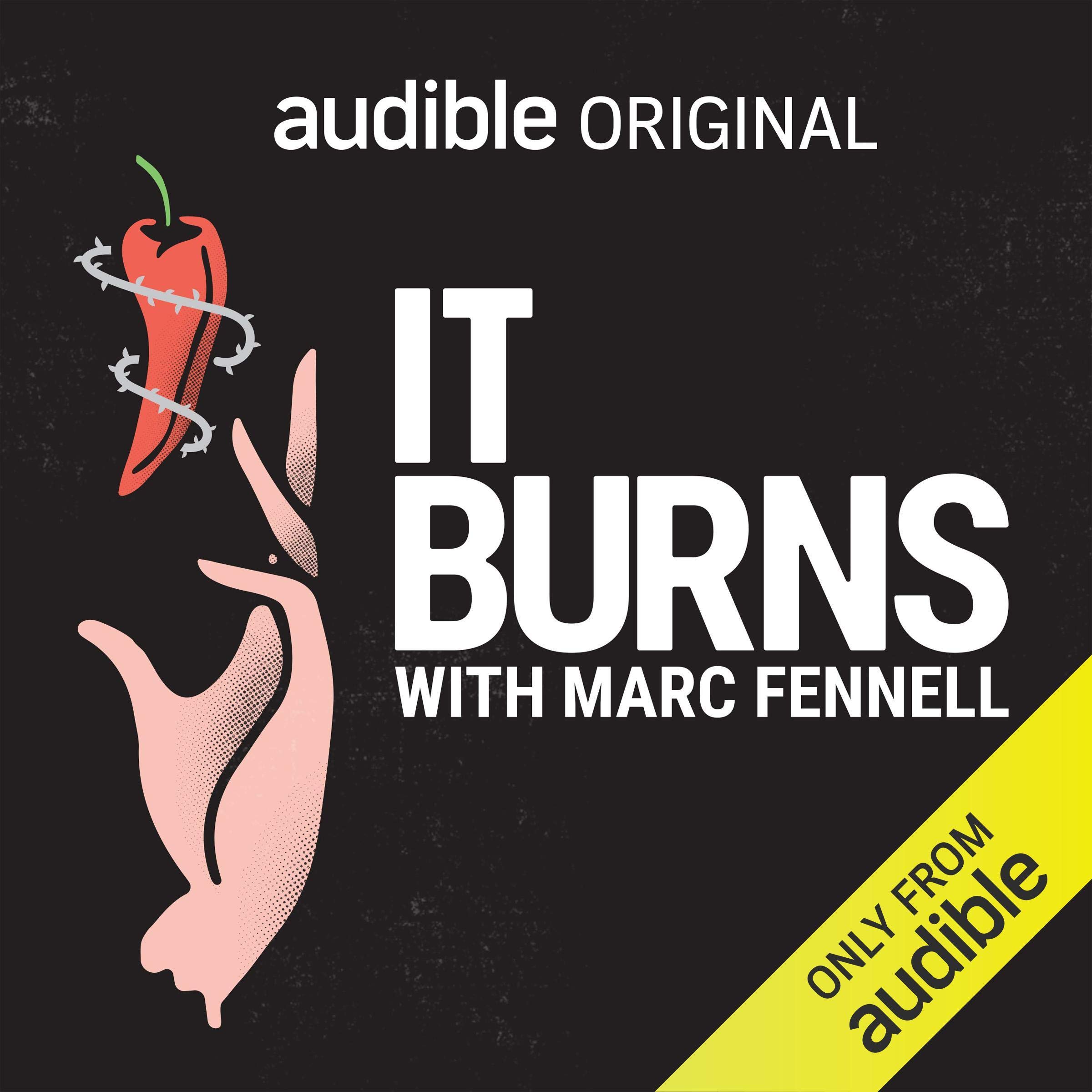 Cover art for It Burns