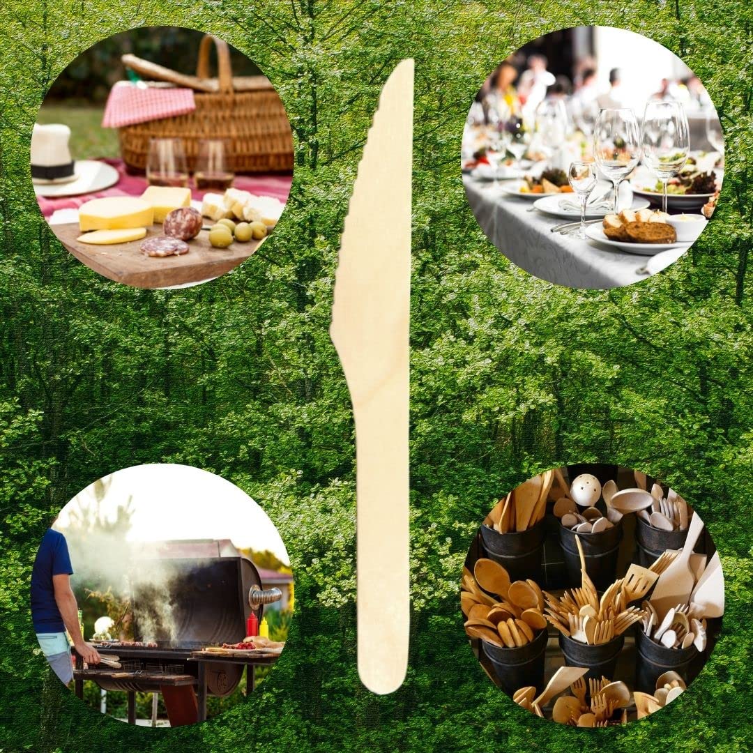 Matsa Set di 100 coltelli monouso in legno naturale, 100% biodegradabili e compostabili. Posate usa e getta ecologiche. 16,5 cm Coltello Riutilizzabile in Legno