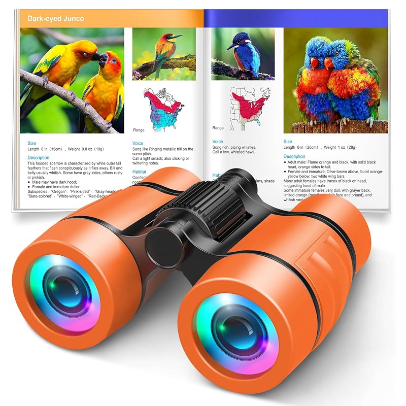 3-8 Year Old Boy Girl Toys: LET'S GO! Shockproof Binoculars for Kids Bird Watching 3 4 5 6 7 Year Old Boys Girls Outdoor Travel Toy for Kid Ages 4-7 Toddler Toy Binoculars Christmas Stocking Stuffers