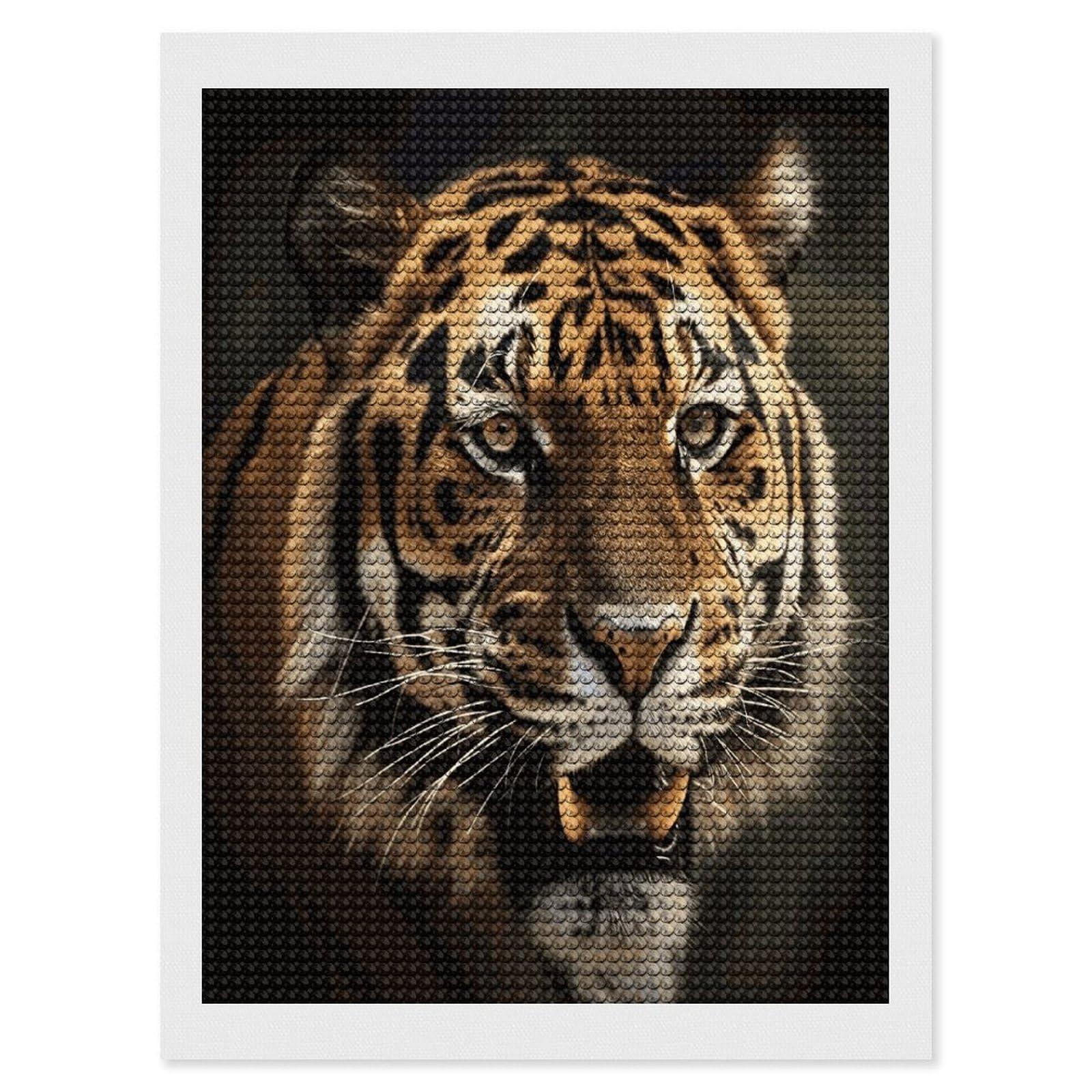 LDGSUPH Tiger Diamond Painting Kits for Adults Paint with Diamond Pictures Art DIY Full Drill Diamond Dots Painting Personalized Diamond Photo for Home Wall Decor Gift 12"x16"