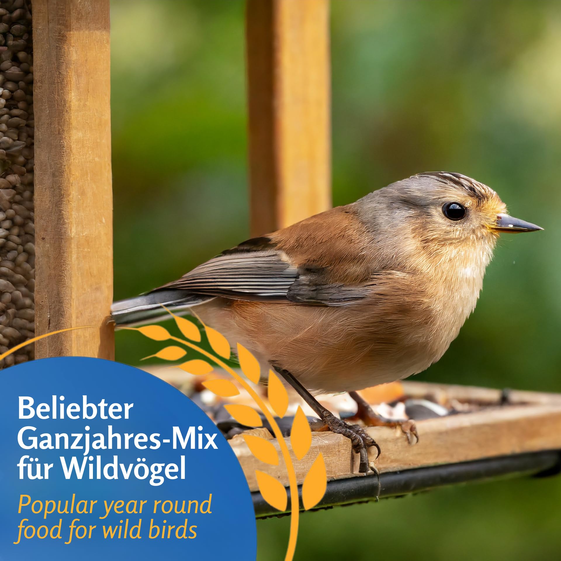 Leimüller Wildvogelfutter 25kg Classic Vogelfutter ganzjährig Wildvögel | Natürlich, staubarm, ohne Zusatzstoffe, für heimische Vögel, Ganzjahresfutter