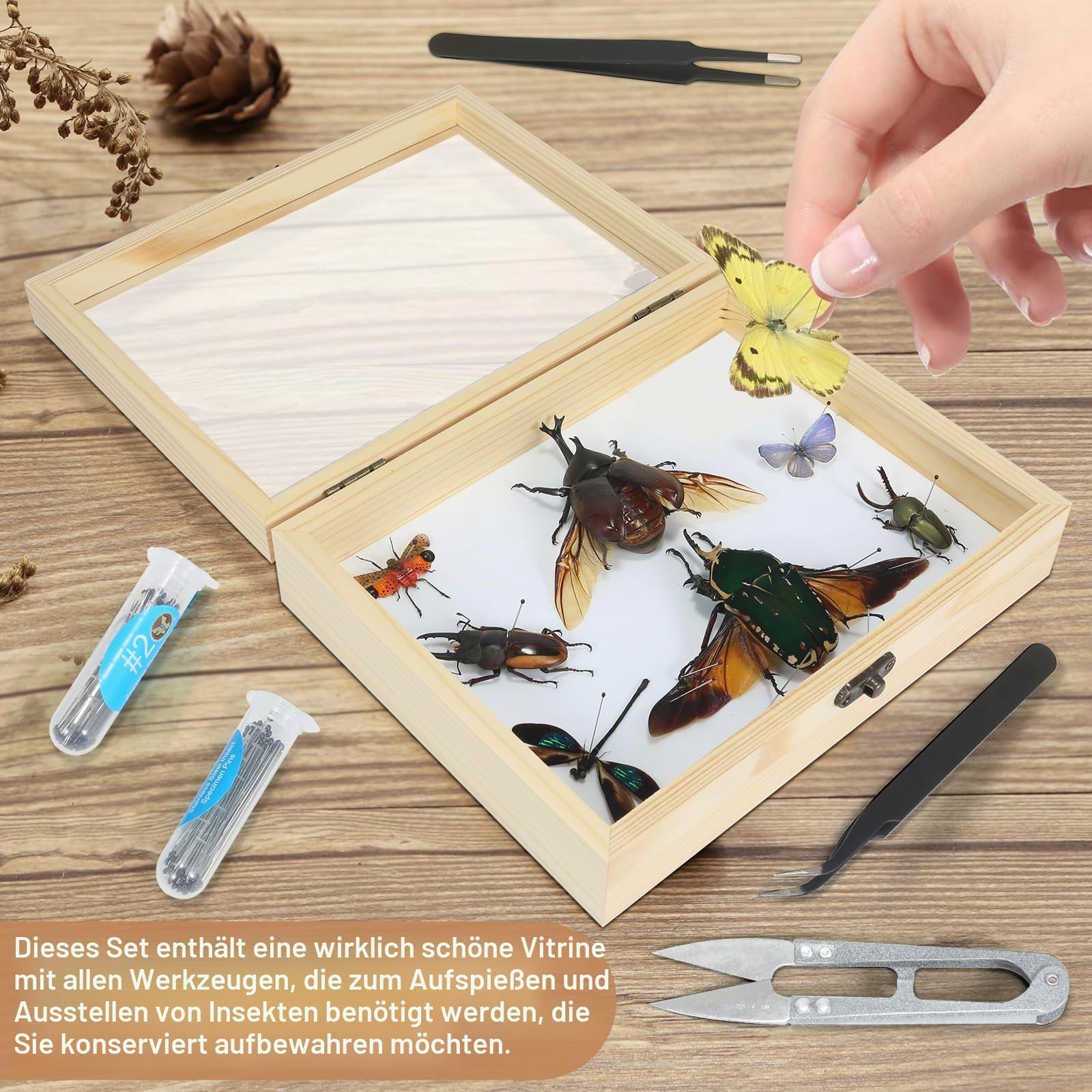 Herstellung von Insektenproben Werkzeug-Set, (Insektennadeln, Insektenschattenbox, Insekten-Pinnbrett, Flügelpresspapier, Pinzette, Schere), Insektenproben-Sammeldisplay für Käfer,