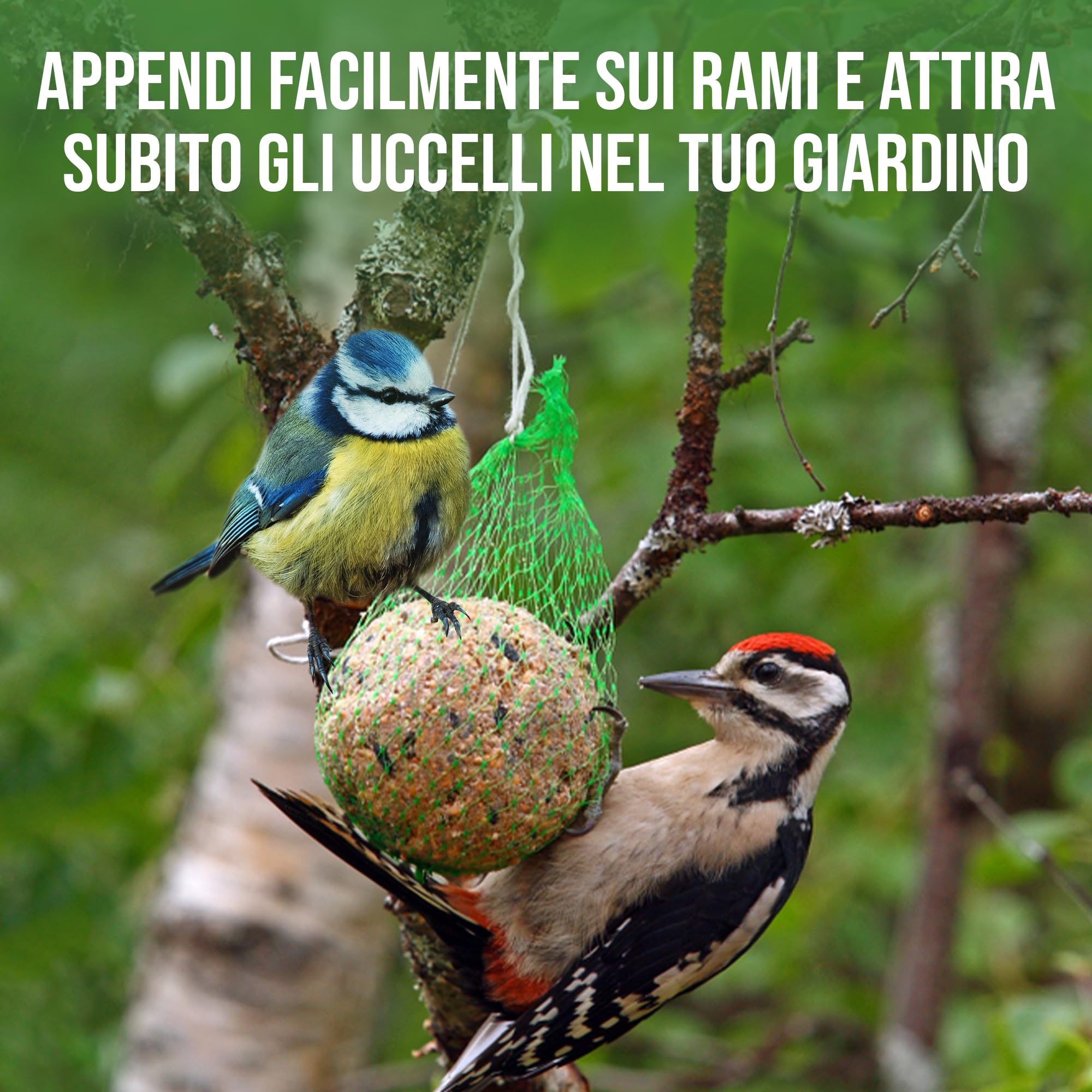 LERAVA Palline di grasso (65 pezzi) - Mangime energetico per uccelli selvatici - Cibo invernale ricco di energia - Alimentazione naturale per uso esterno tutto l'anno per tutte le specie di uccelli