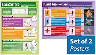 Movement Analysis Posters - Set of 2 | PE Posters | Gloss Paper measuring 850mm x 594mm (A1) | Physical Education Charts for the Classroom | Education Charts by Daydream Education
