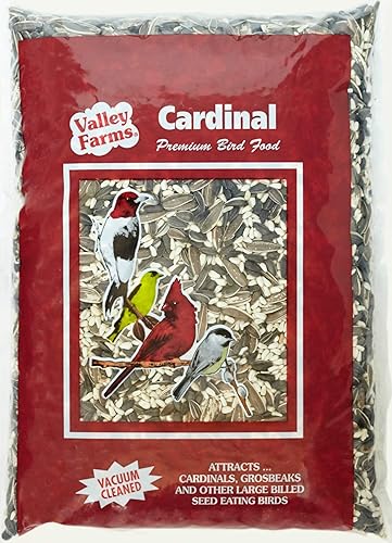 Cardinal Mix - Alimento para pájaros silvestres (10 libras)