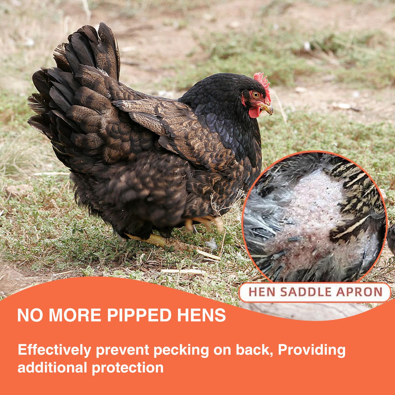 Lot de 2 selles de poulet pour poules, protection du dos de poule, tabliers confortables et légers pour poules (noir)