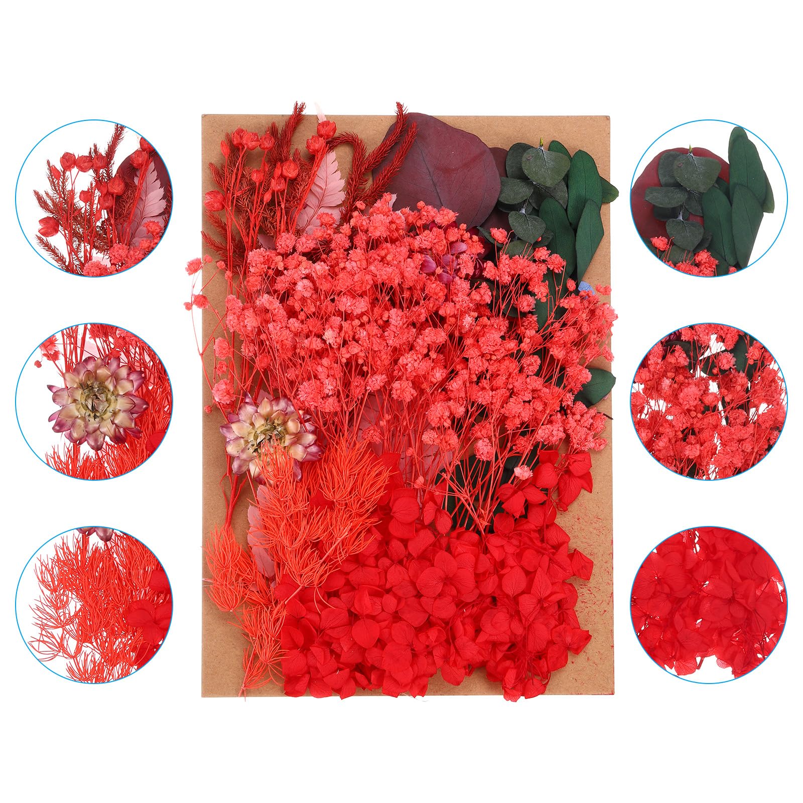 PATIKIL Pressed Flowers for Craft Bulk Dried Flowers Natural Pressed Flowers Leaves for Resin Soap Candle Scrapbooking DIY Gift Papermaking - Image 3