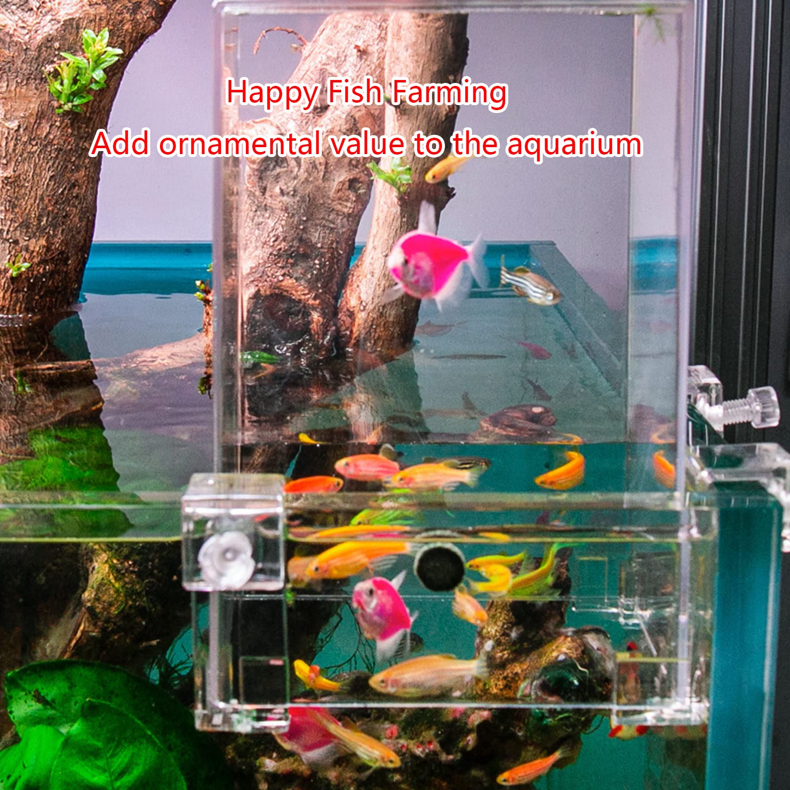 Aquarium Fisch Züchter Box Fisch Isolation Zuchtbox Schlüpfen Zuchtbox Fisch Brutkasten Fisch Brutkasten