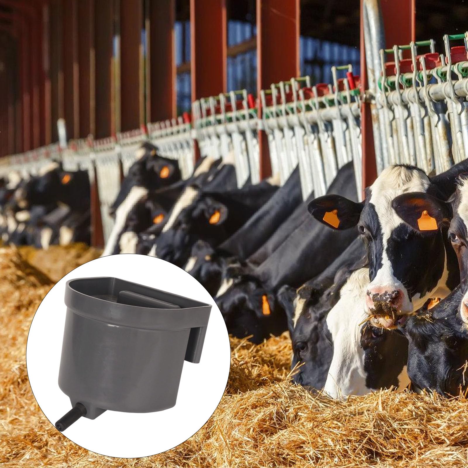 Contenitore per latte di vitelli in polipropilene di tipo pesante superfici interne lisce per pulizia rapida e igiene agricola Contenitore per latte di vitelli di tipo pesante
