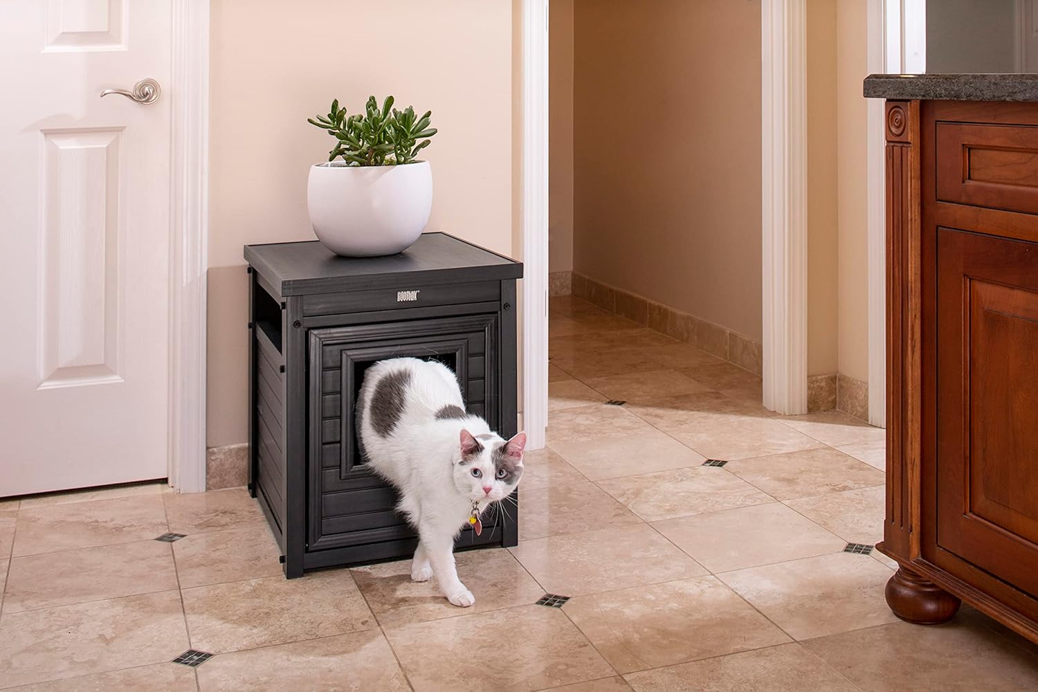 ecoFlex Litter Loo, Litter Box Cover/End Table Amazon.ca Pet Supplies