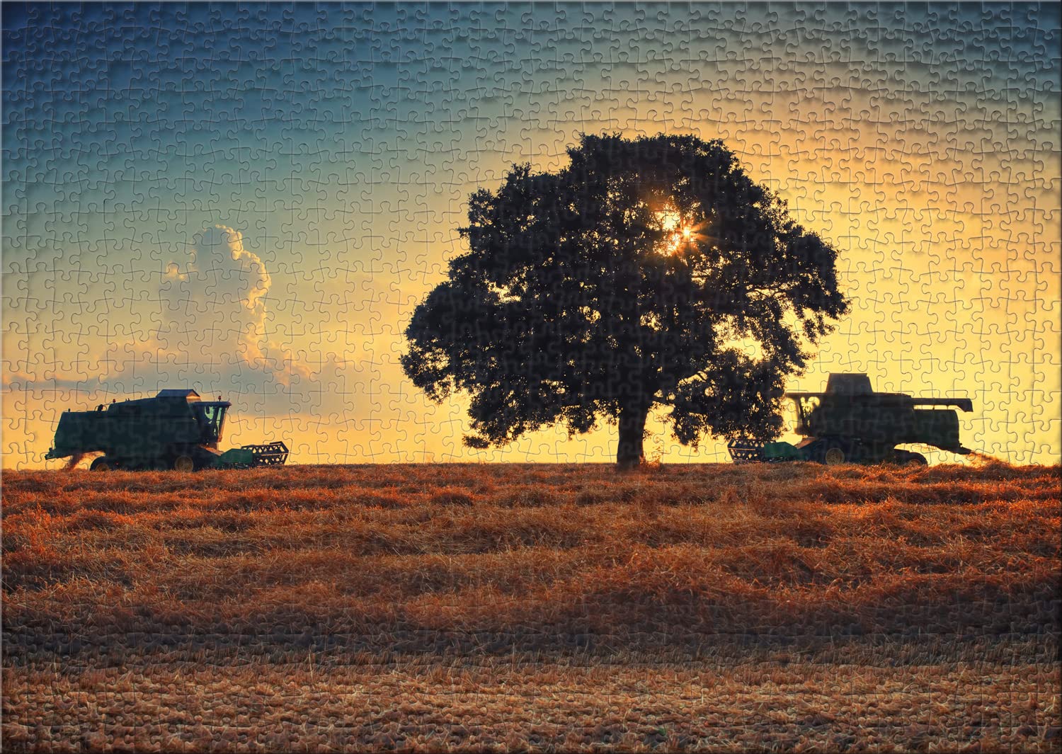 Puzzle 1000 Pezzi 'Tempo Del Raccolto' - Motivo Agricolo | Qualità Tedesca