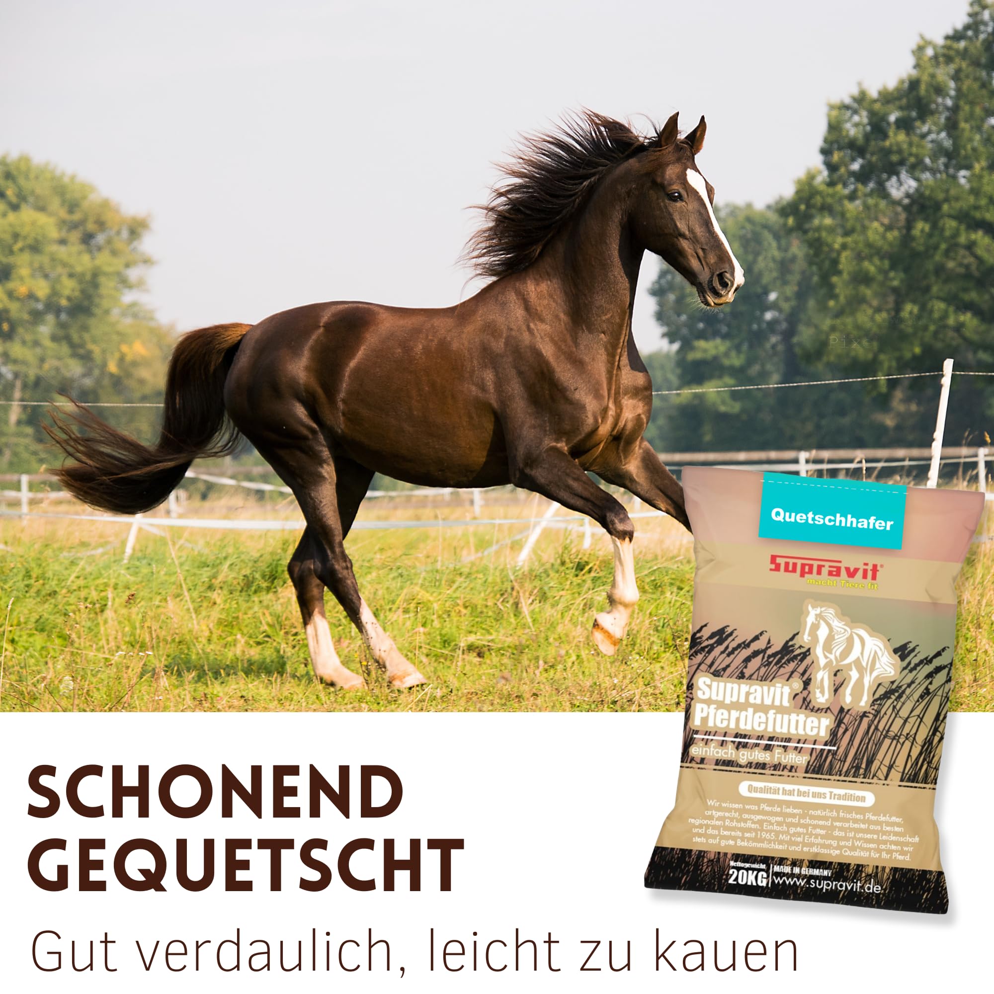 Supravit 20kg Hafer gequetscht | frischer Walzhafer | Energie & Kraftfutter Pferd & Pony I leicht verdaulich & gut verträglich I Wird erst gewalzt kurz vor Versand