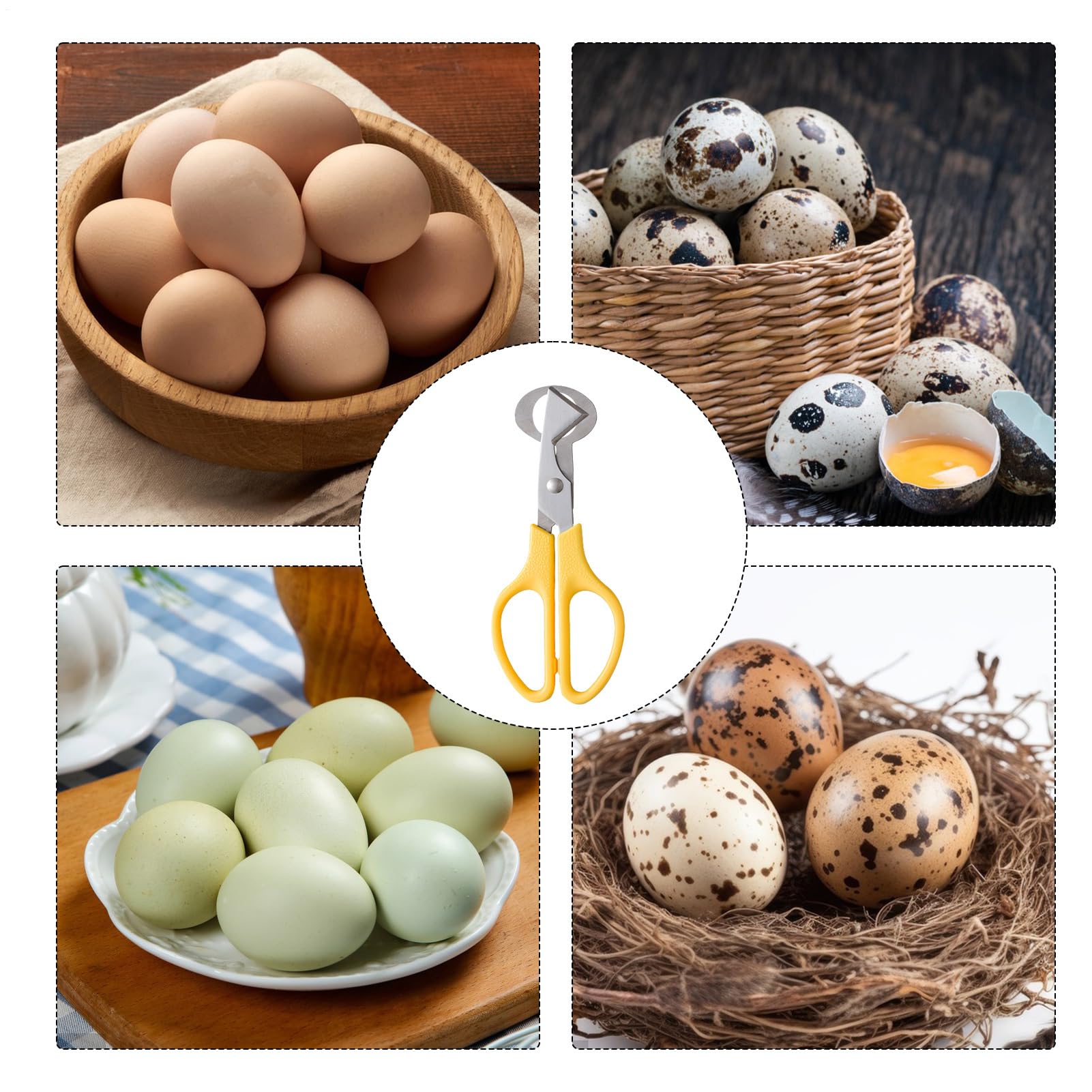 Tijeras De Huevo De Codorniz, Cortador De Huevos De Acero Inoxidable, Tijeras De Hu-evo Pequeñas, Huevos De Cod-orniz, Tije-ras De Hu-evo De Cod-orniz De Acero Inoxidable