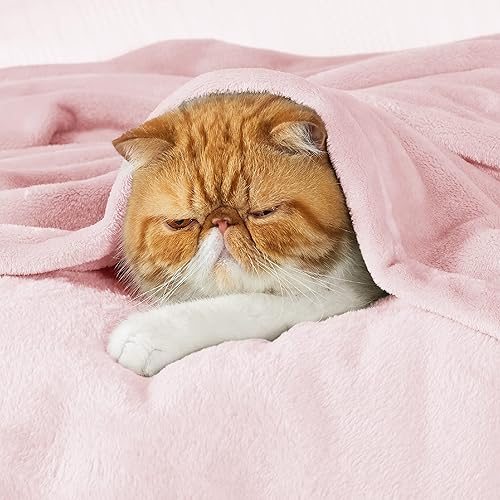 Vista 209 de Bedsure - Manta de vellón, tamaño individual XL, ligera, suave, acogedora, para dormitorio universitario, cama, sofá, viajes y campamento