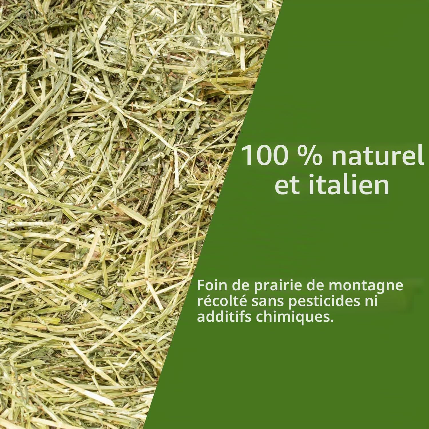 Foin naturel pour chevaux, ovins, chèvres et bétail 10 kg | Danse de foin italienne de prairie de montagne biologique | Nourriture pour tous les rongeurs, lapins et bétail | Haute Qualité