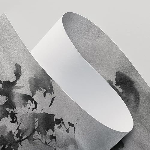 Miniatura 4 de SIGNWIN Adhesivo removible de paredmural de acuarela pastel, pájaros, tormenta voladora, nube, naturaleza, desierto, bellas artes, duotono, paisaje