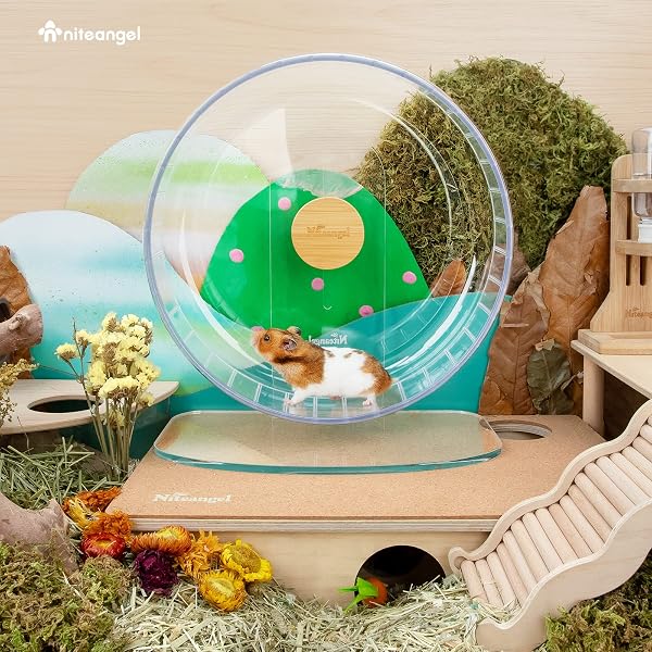 Niteangel Super-leise Hamsterräder - Leise Spinner-Hamsterräder mit verstellbarem Ständer für Zwerghamster, Gerbils, Mäuse oder andere kleine Tiere (XL, Transparent) - 5