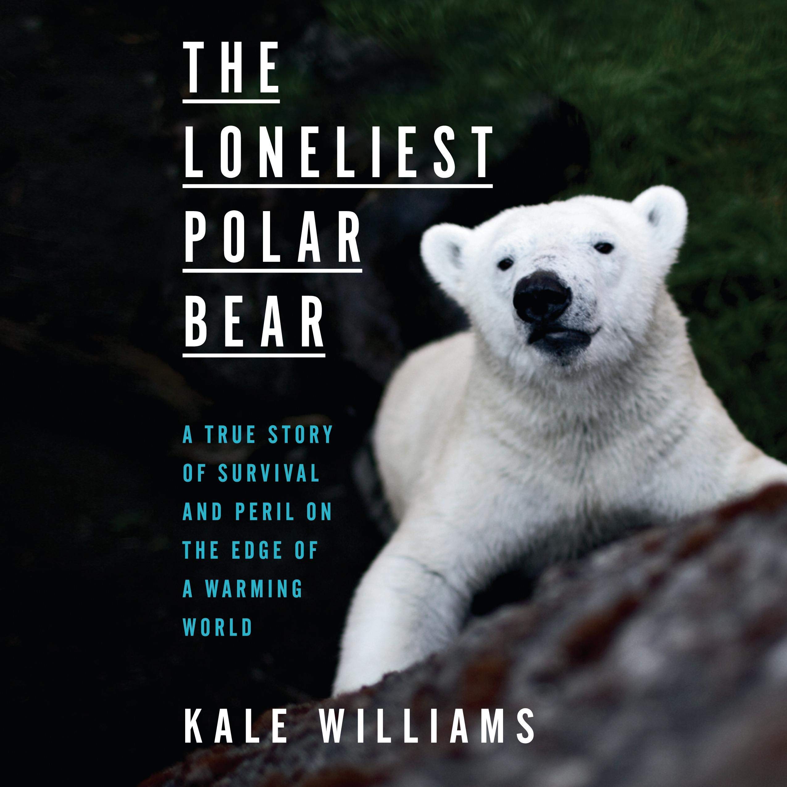 Cover art for The Loneliest Polar Bear
