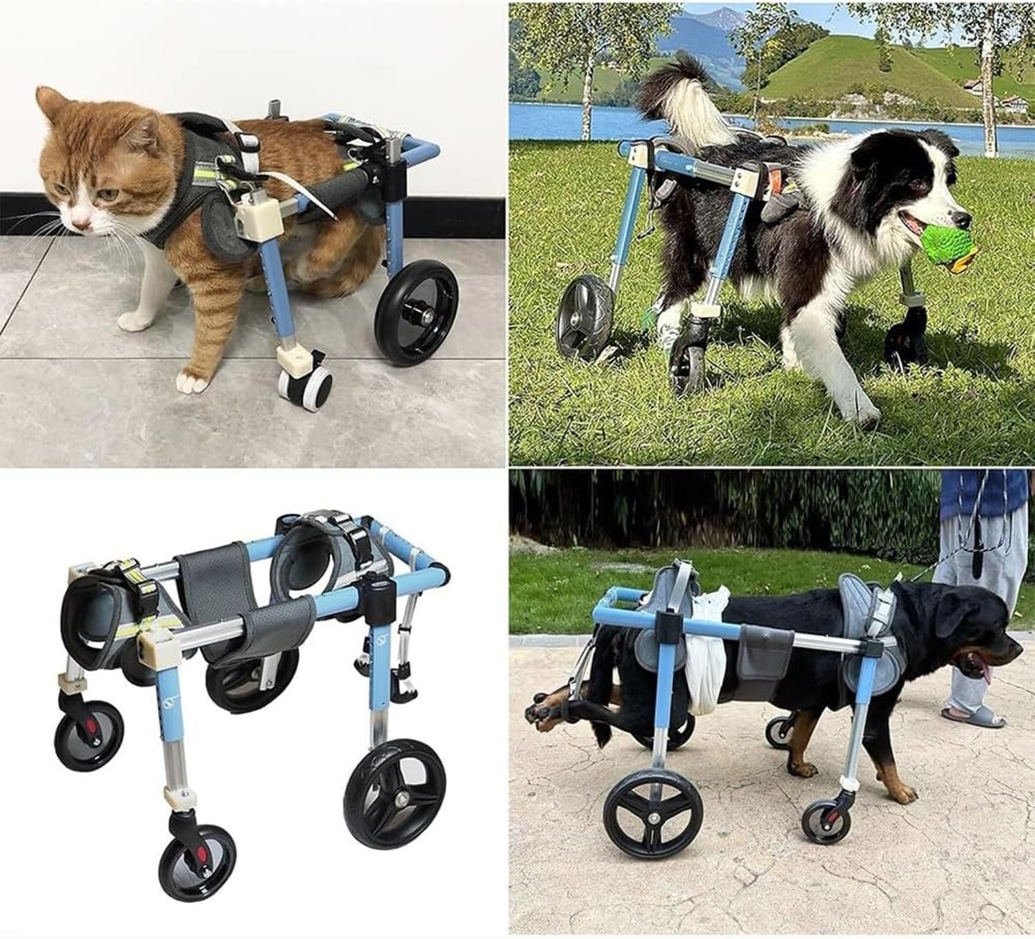 Carrello per La Mobilità del Cane, Cani Anziani Sedia A Rotelle,Supporto Regolabile per Animali Domestici con 4 Ruote per Cani Disabili,Carrozzina per Cani per Zampe Anteriori E Posteriori S