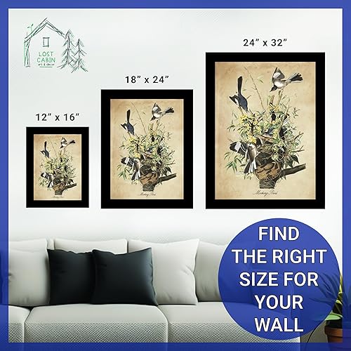 Vista 167 de Towee Bunting by James Audubon - Marco biselado negro de 12 x 16 pulgadas, decoración artística enmarcada para pared, reproducción de pinturas