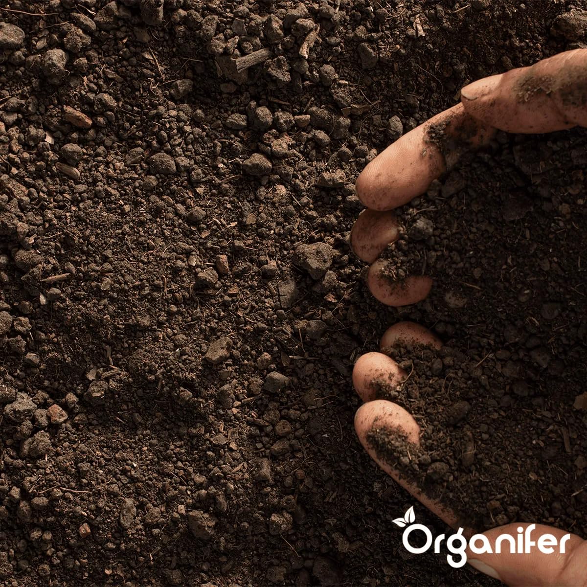 Mezcla Activadora Y Mejoradora De Suelos - Aditivo Natural Para Jardinería Con Microorganismos Eficaces (Em) - Aumenta La Fertilidad Del Suelo Y La Salud De Las Plantas - Organifer (50 L)