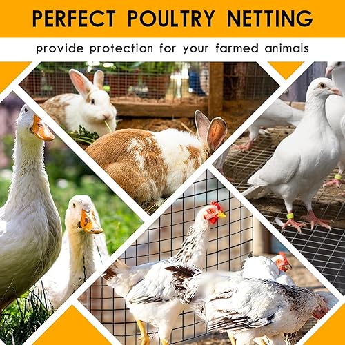 Miniatura 6 de DOLEMODUO Paño de hardware recubierto de vinilo de calibre 19, valla de alambre de pollo de 12 pulgada, 36 pulgadas x 100 pies, malla de alambre