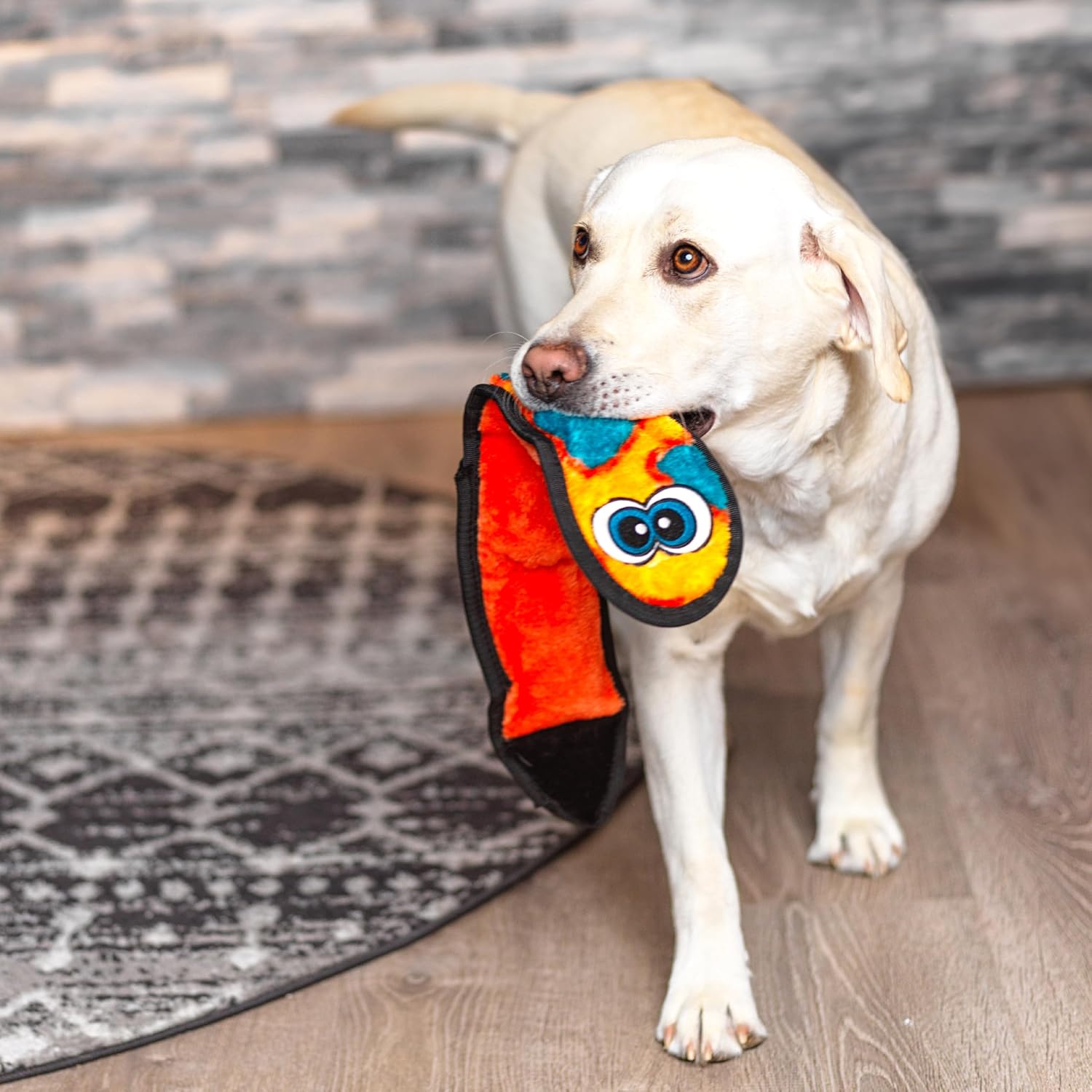 Outward Hound Durablez Tough Chew Plush Squeaky Dog Toy, Snake, 24.5" image 5