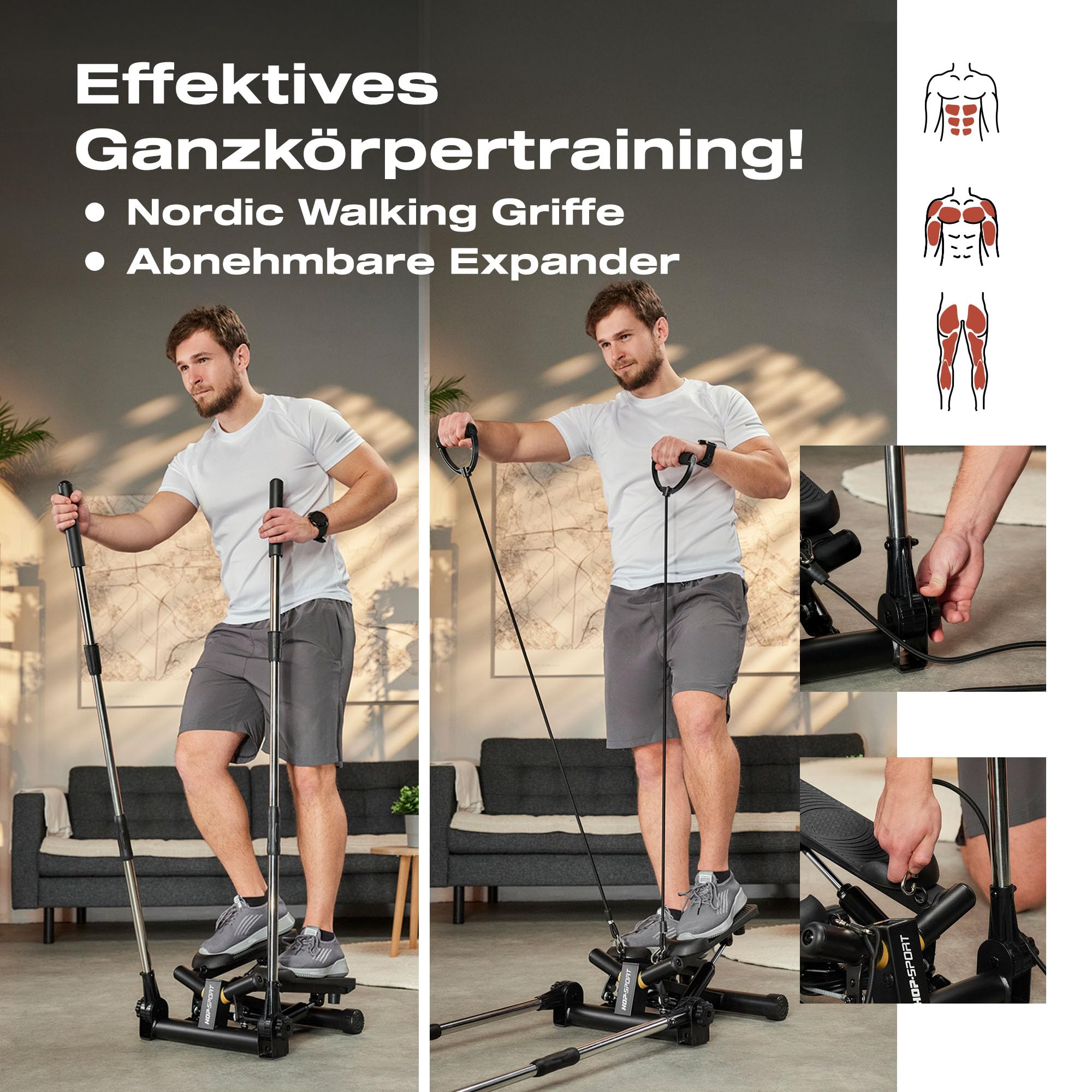Hop-Sport Swing Stepper HS-050S Norg, Up-Down-Side-Stepper für Zuhause mit Haltegriffen, Expander & LCD-Display, Ganzkörpertraining mit einem Sportgerät