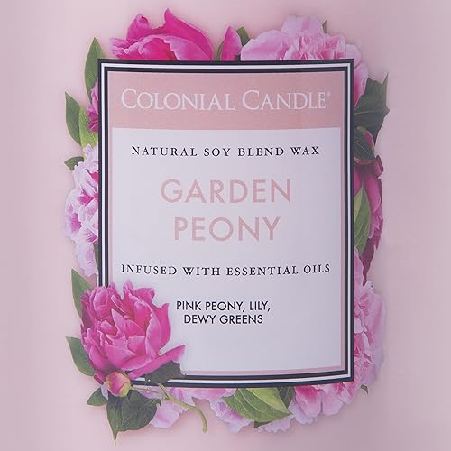 Vista 19 de Colonial Candle Vela perfumada en frasco, cilindros clásicos, brillo navideño, 2 mechas, 19 onzas, morado