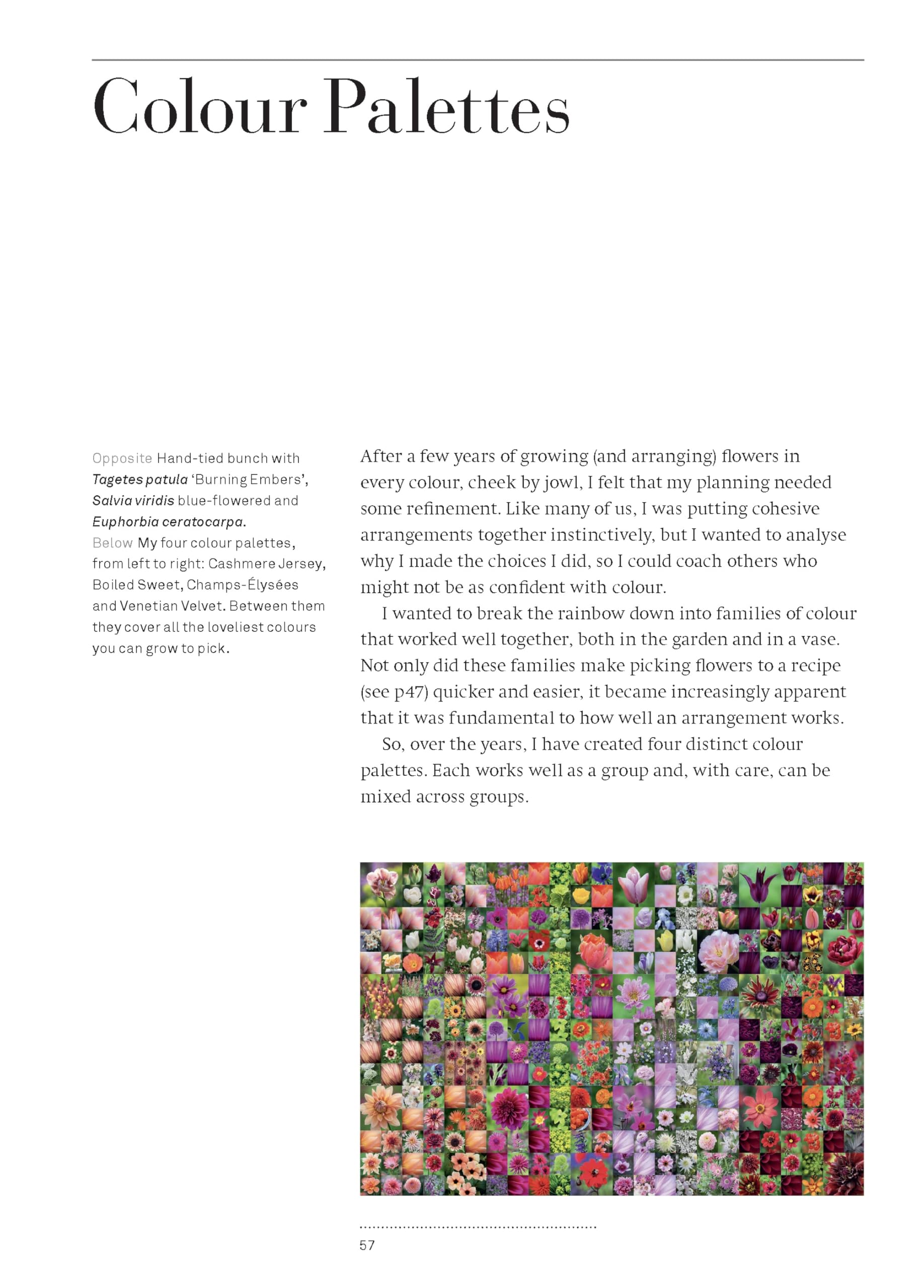 A Year of Cut Flowers: A life of growing and arranging for all seasons