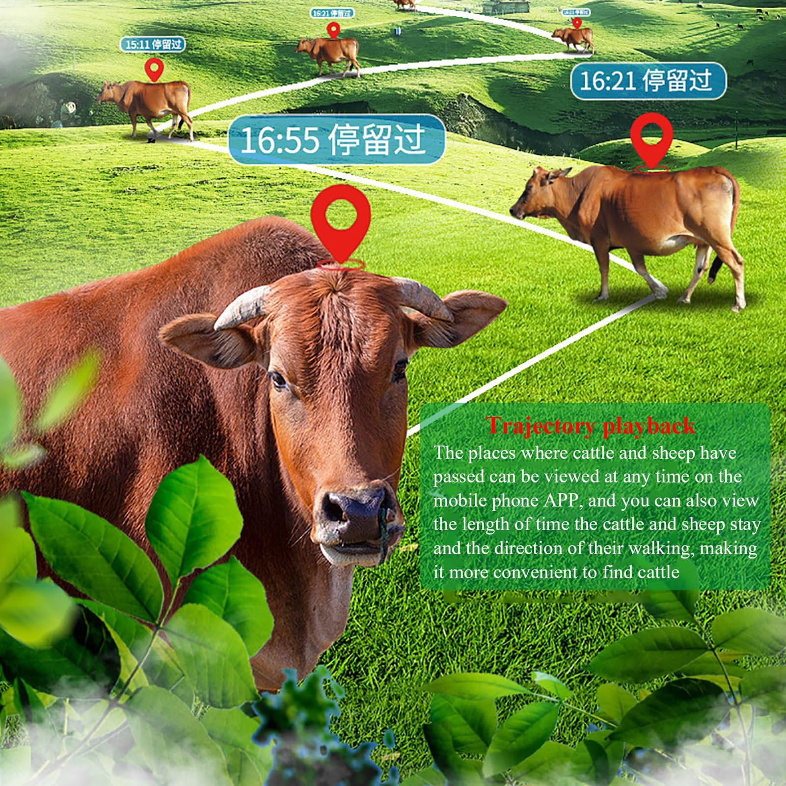 Rastreador GPS, localizador solar de animales, dispositivo antipérdida de 20000 mAh con múltiples funciones de alarma, reproducción de pista histórica, diseño antirrobo y posicionamiento múltiple