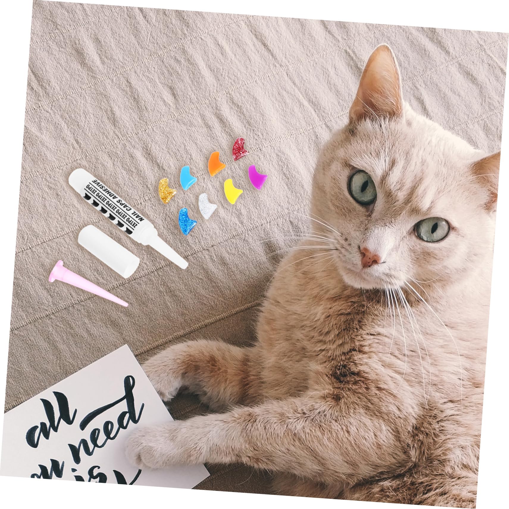 Kisangel Lot de 480 Griffes pour Animaux De Compagnie Pattes pour Chats Griffes De Chat Pattes De Griffes pour Chatons Pointes D'Ongles pour Chat Enveloppes D'Ongles pour Chaton