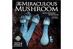 The Miraculous Mushroom 2024 Wall Calendar