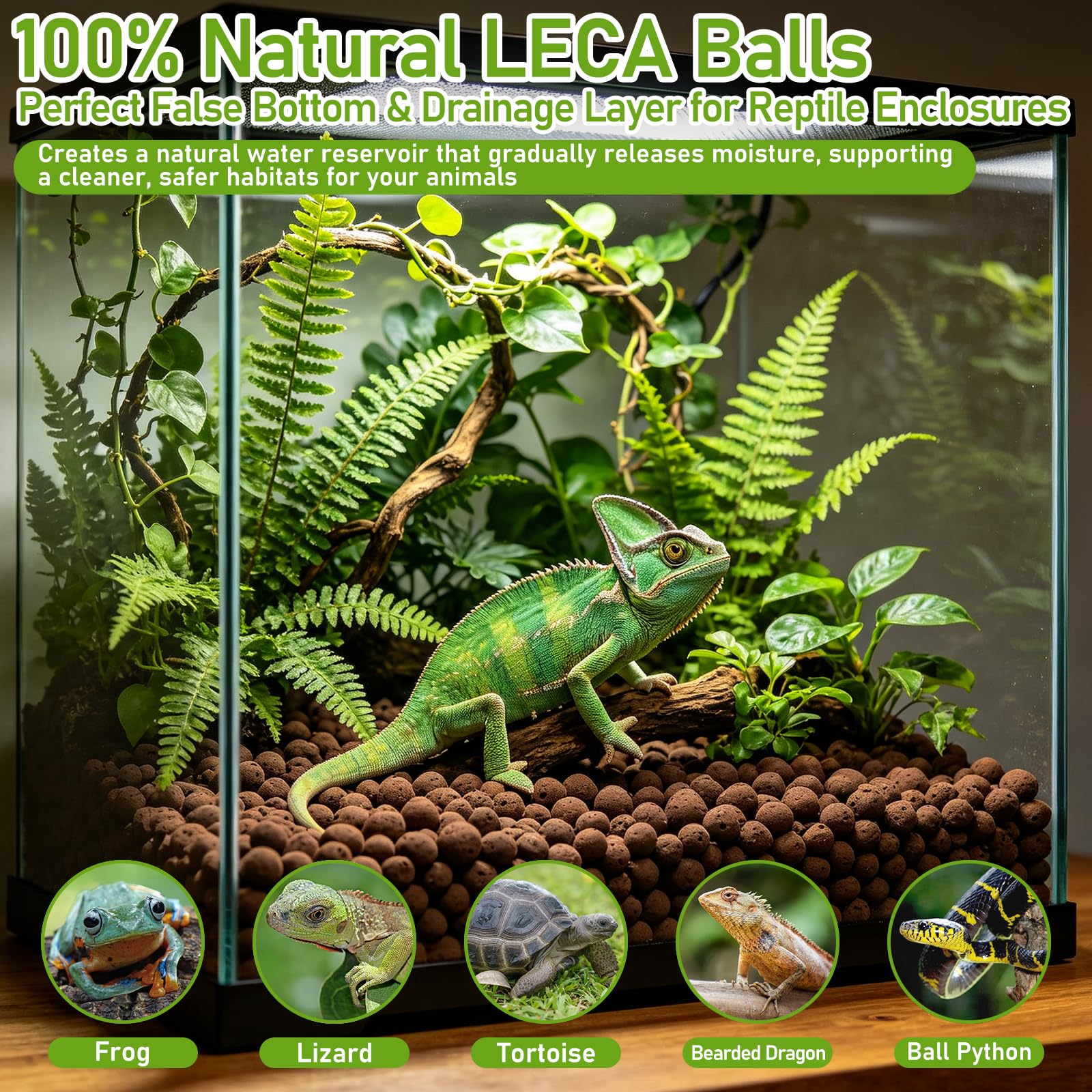 Riare Bolas de arcilla expandidas de 6 libras, sustrato de terrario para reptiles – 100% orgánico ligero arcilla guijarros sustrato ranas falso sustrato inferior sustrato de terrario bioactivo para