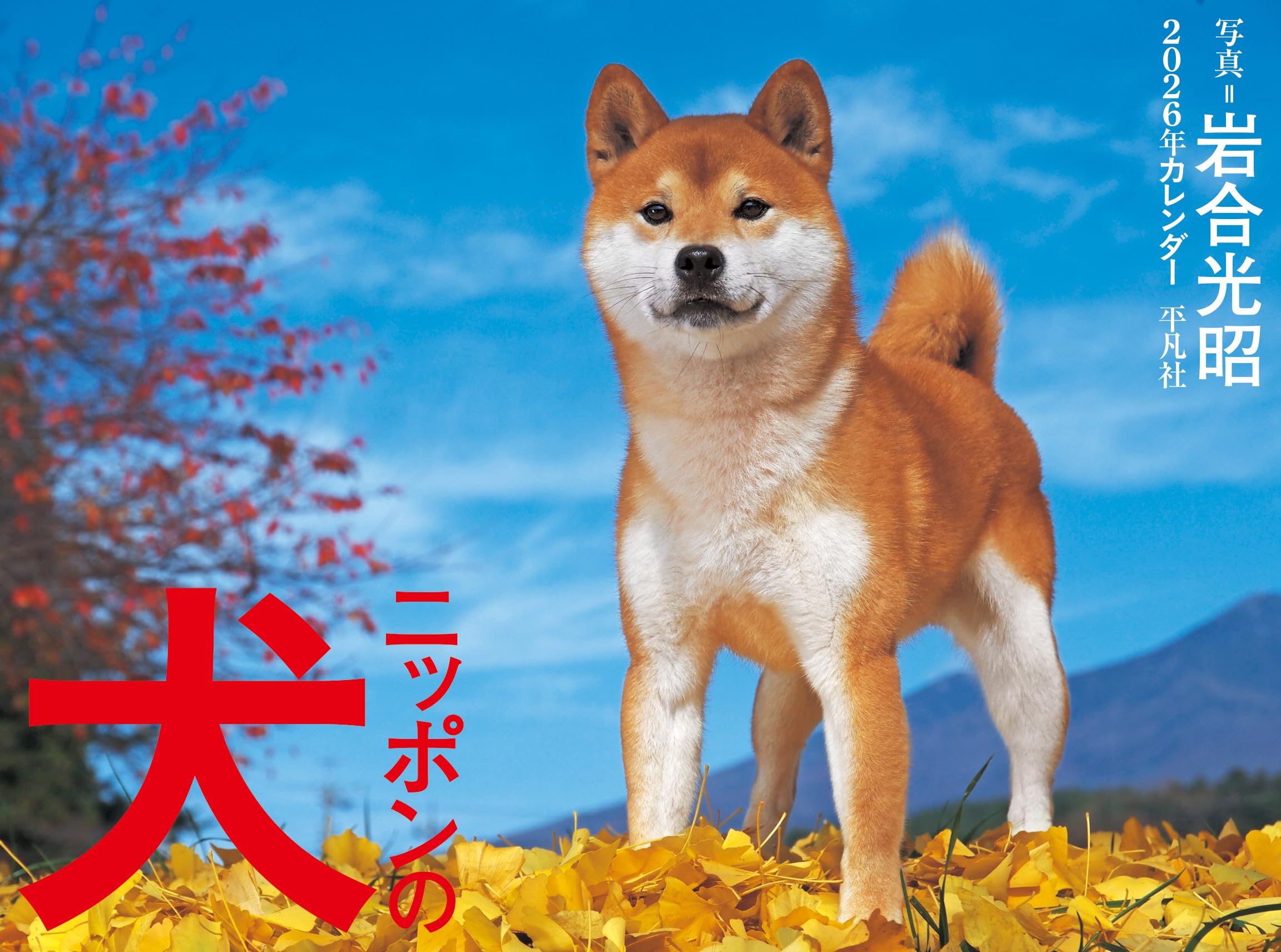 2026年カレンダー ニッポンの犬 ([カレンダー]) | 岩合 光昭 |本