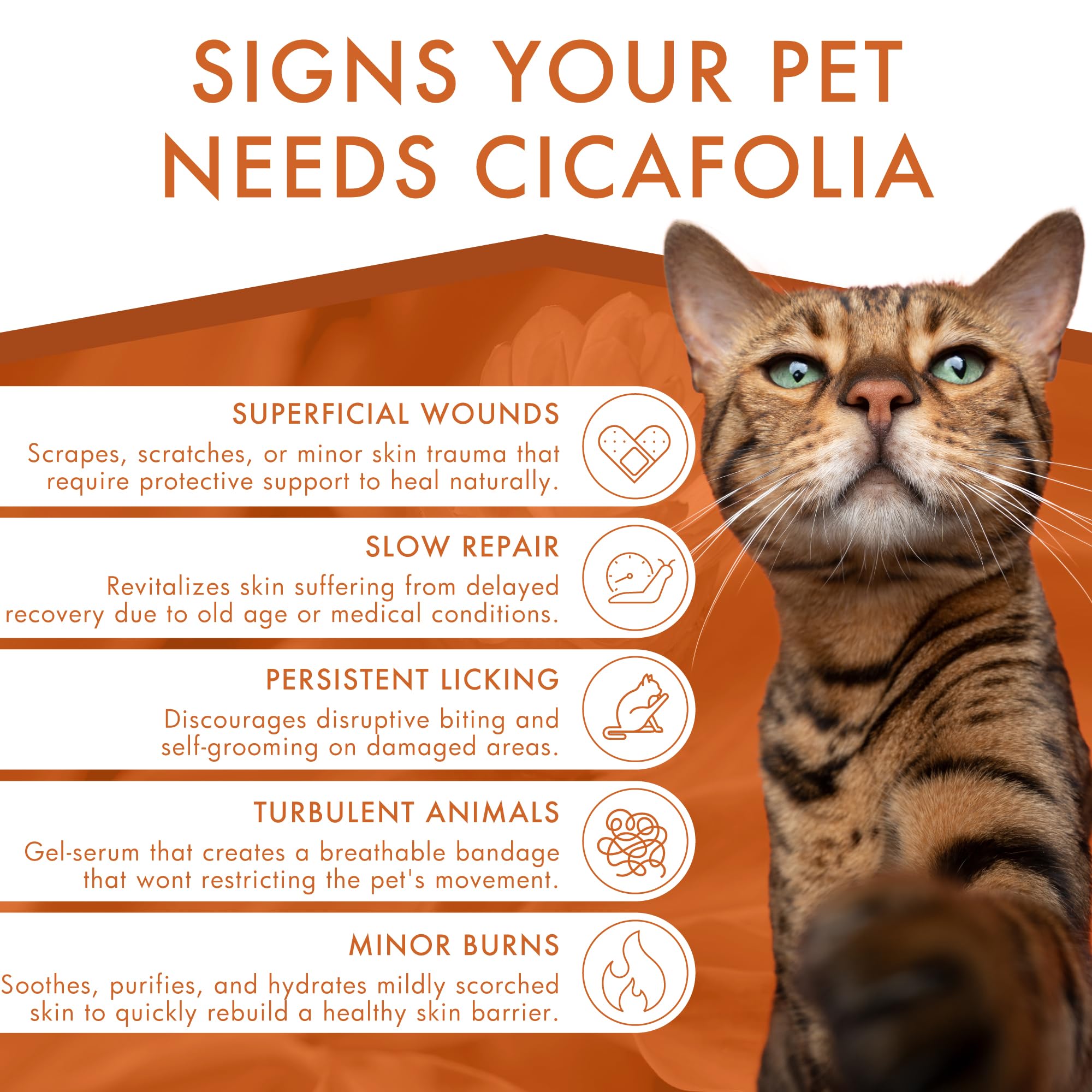 Dermoscent Cicafolia - 30ml
