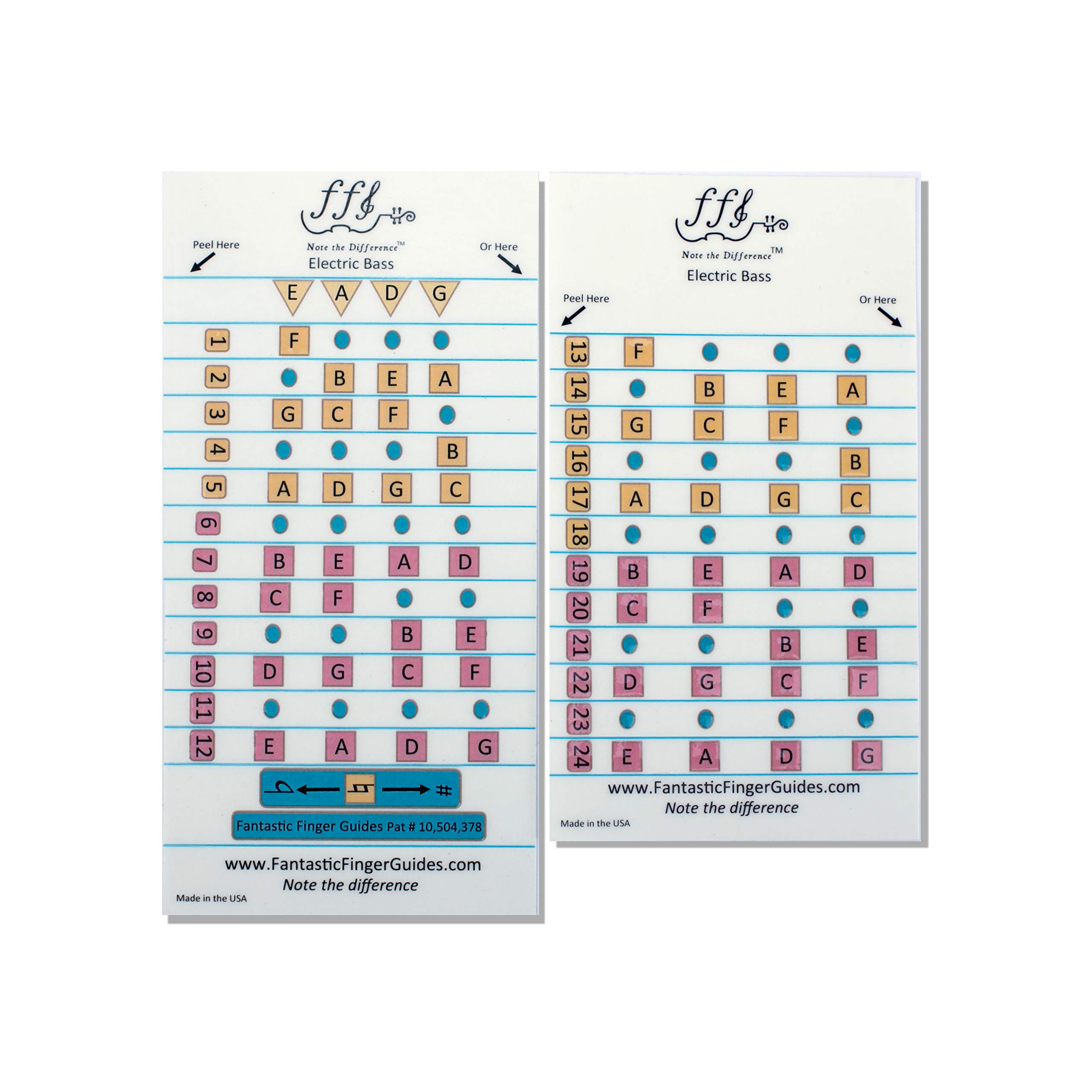FFG NOTE THE DIFFERENCE Fantastic Finger Guide for Electric Bass Guitar - Music Accessories, Fretboard and Fingerboard Stickers for Learning Notes, Learn to Play Guitar, Frets 1-24