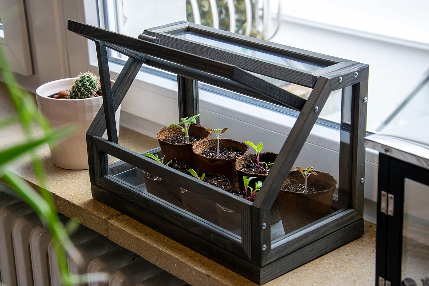 dobar® 29168FSCe Mini Design Greenhouse | Solid Wood Cold Frame Including 3 Pots | Small Greenhouse for Windows | Cold Frame for Young Plants and Herbs | 38 x 20 x 24.5 cm | Anthracite