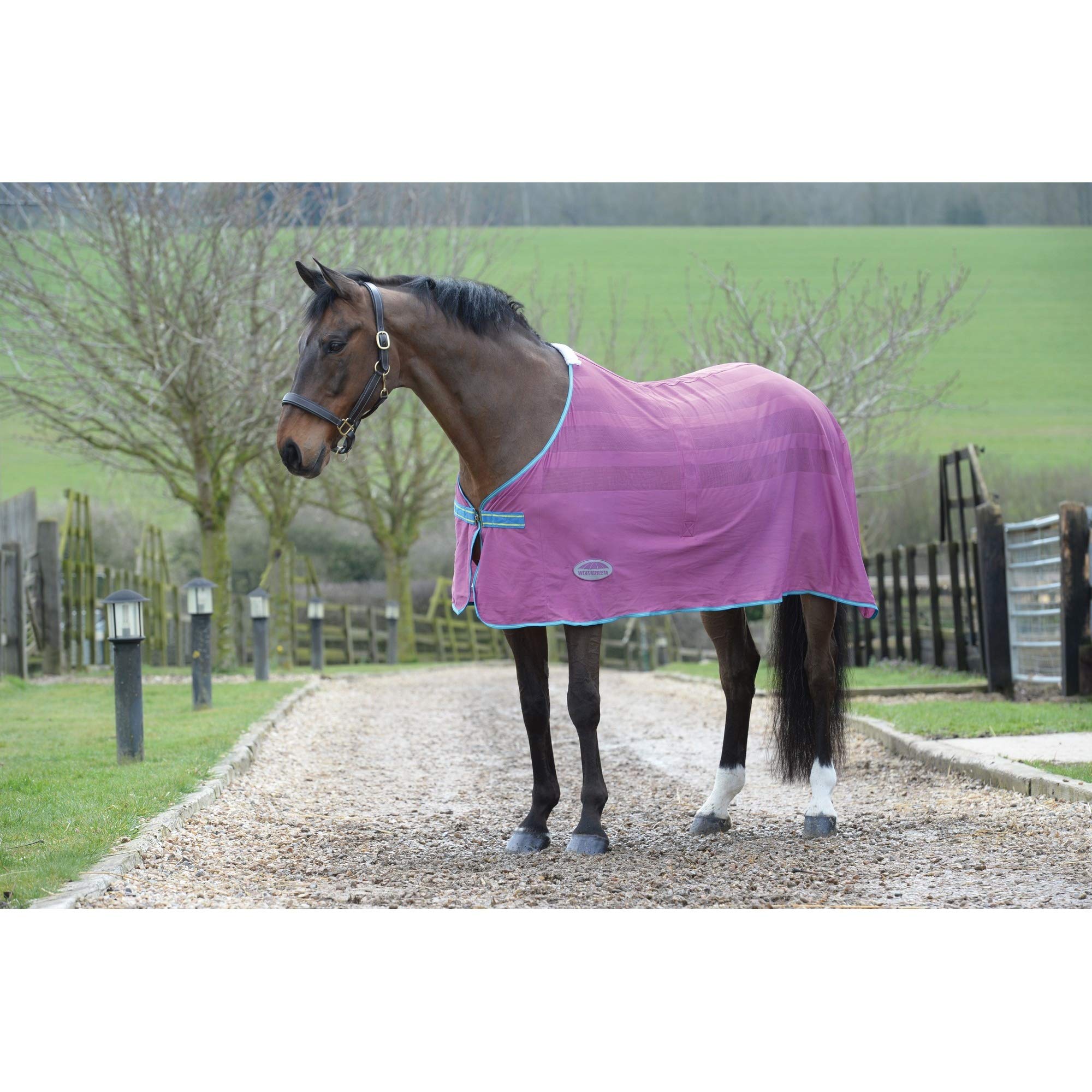 Amazon.co.jp: (ウェザビータ) Weatherbeeta 馬用 Scrim クーラー 
