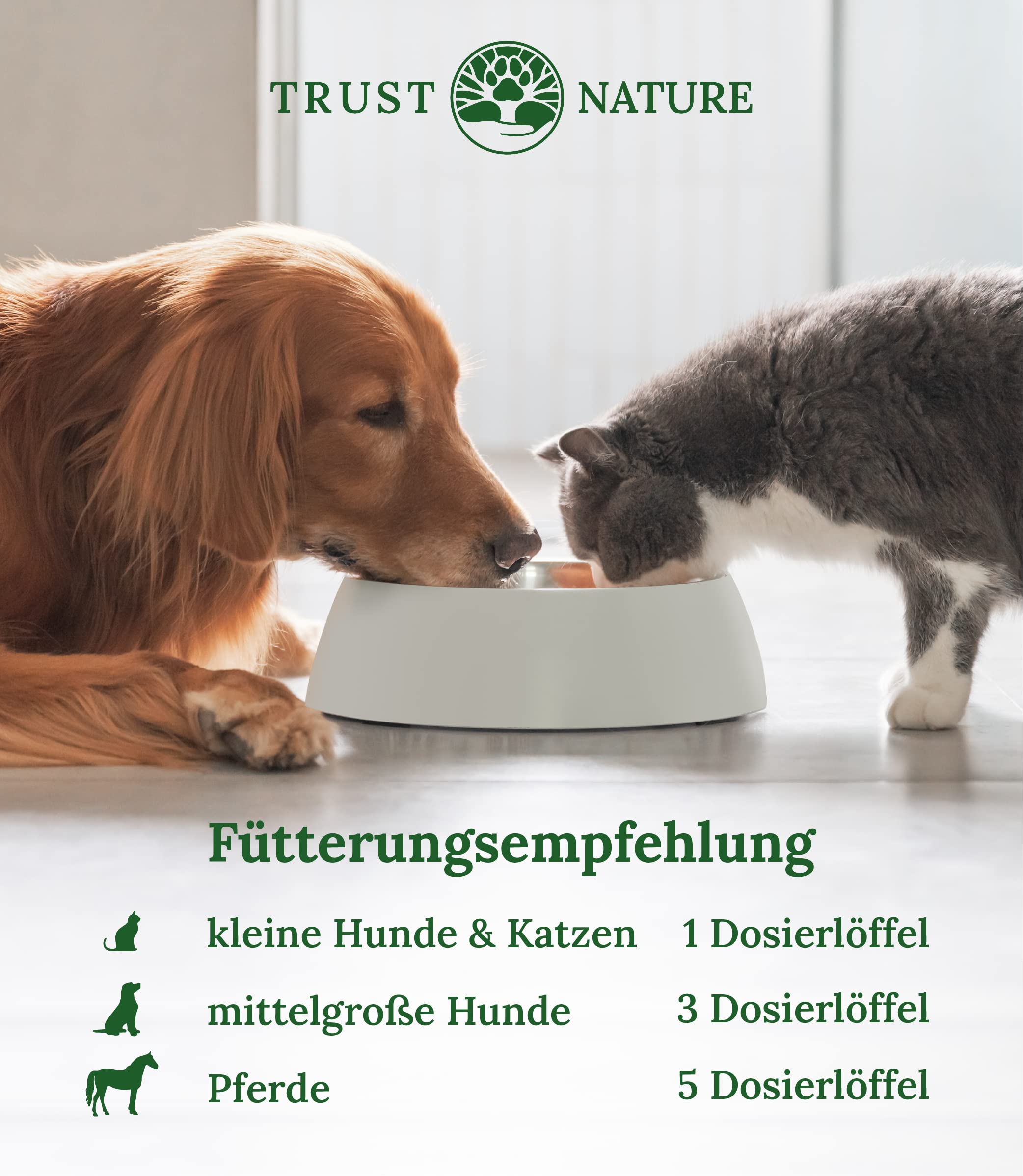Bio Zahnpflege Pulver für Hunde & Katzen | gegen Plaquebildung | fördert frischen Atem | Bio Petersilie, Bio Minze, Bio Spirulina, Bio Chlorella, Bio Bambus, Bio VIT C