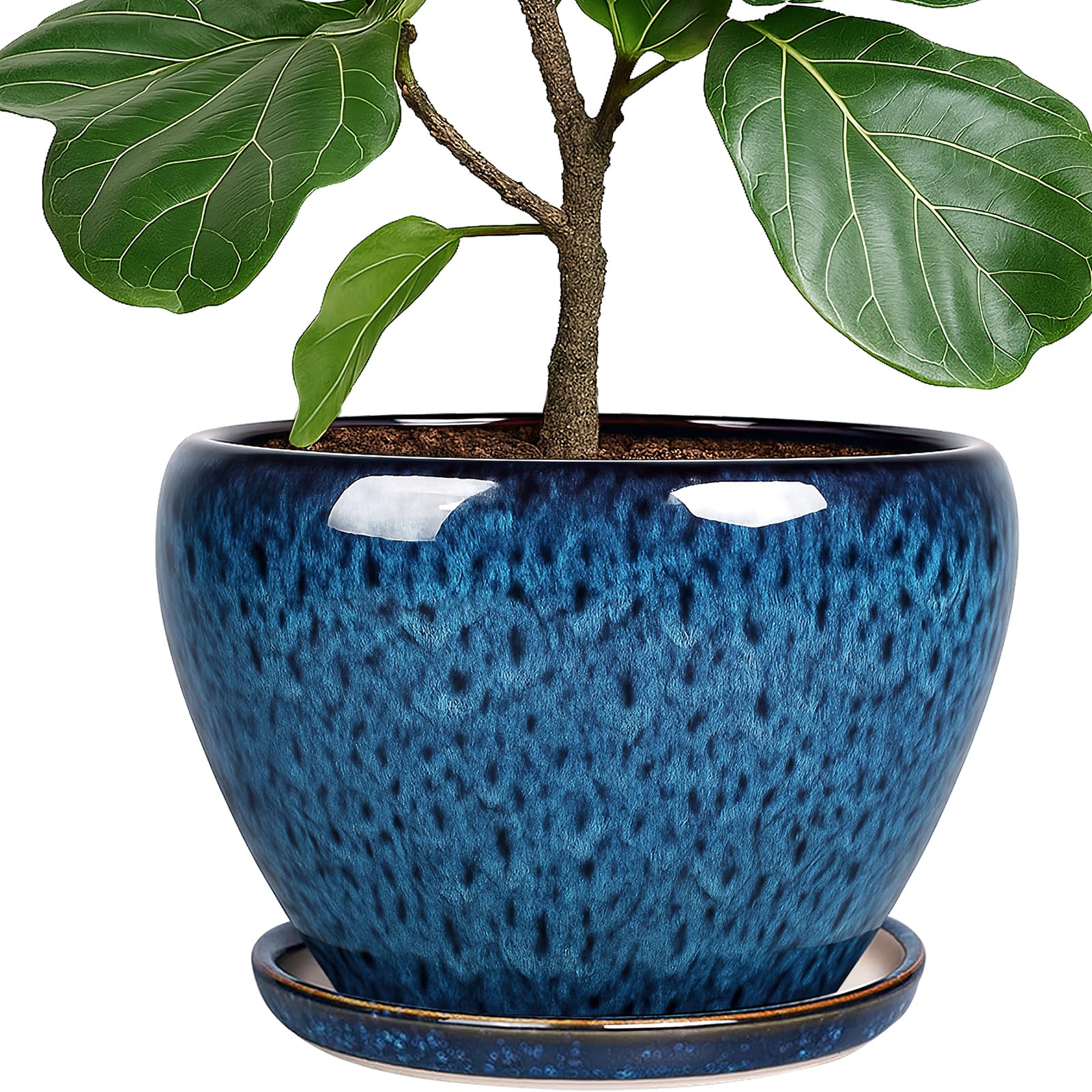 Deep Dream 10 Inch Ceramic Planter