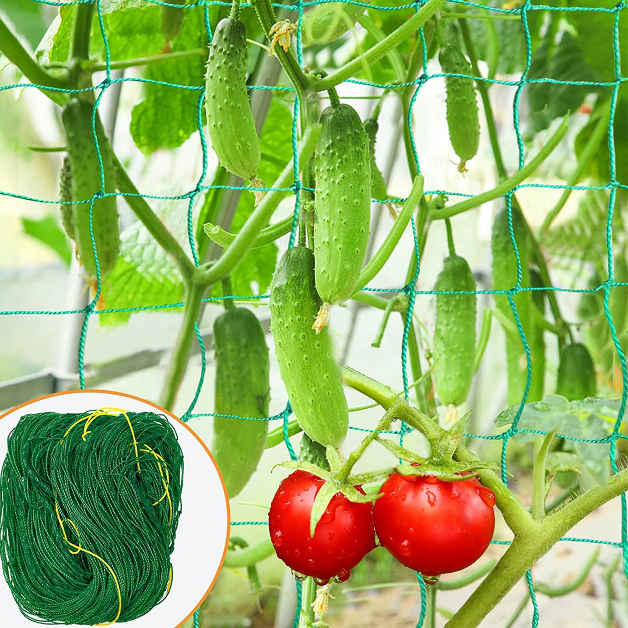 Gardener Bhabi - Garden Net for Creeper Plant Net Used in Terrace, Shade, Roof for Shrubs, Vegetables, Flowers and Other Plants Growth Supporting(10X12 Feet) (B0D2D743Y7) Amazon Price History, Amazon Price Tracker