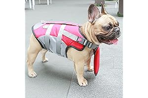 French Bulldog Float
