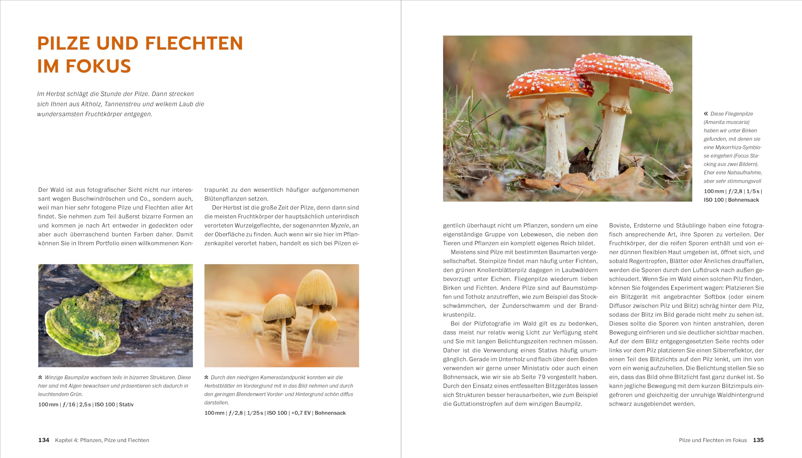 Makrofotografie: Die große Fotoschule. Pflanzen, Insekten und Objekte fotografieren. Ausrüstung, Technik, Bildgestaltung, Motivideen (Auflage 2024)